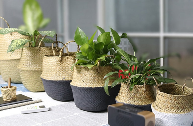 Seagrass Storage Baskets