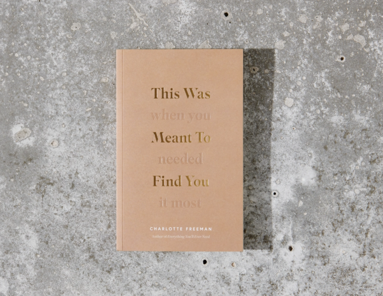 This Was Meant To Find You (When You Needed It Most) by Charlotte Freeman - book